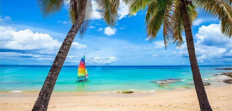 Wide view across Mullins Bay Beach Barbados