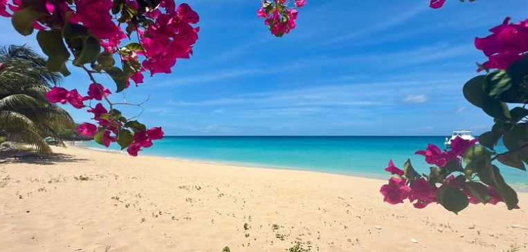 Reeds Bay Beach in Barbados