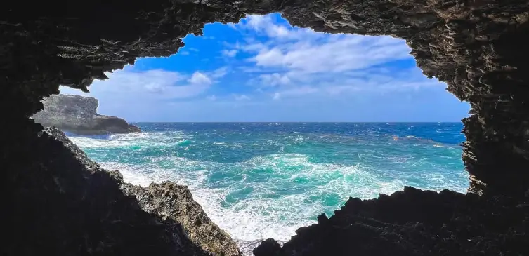 Animal Flower Cave Cove in Barbados