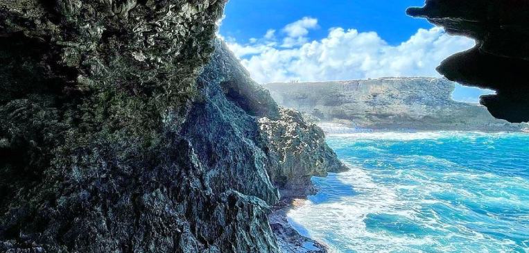 Animal Flower Cave Cove in Barbados