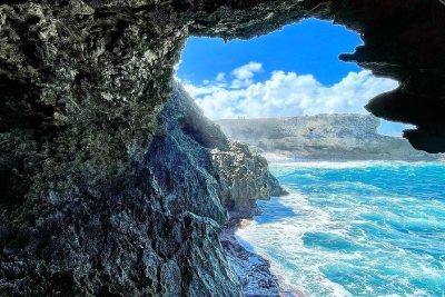 Animal Flower Cave Cove in Barbados