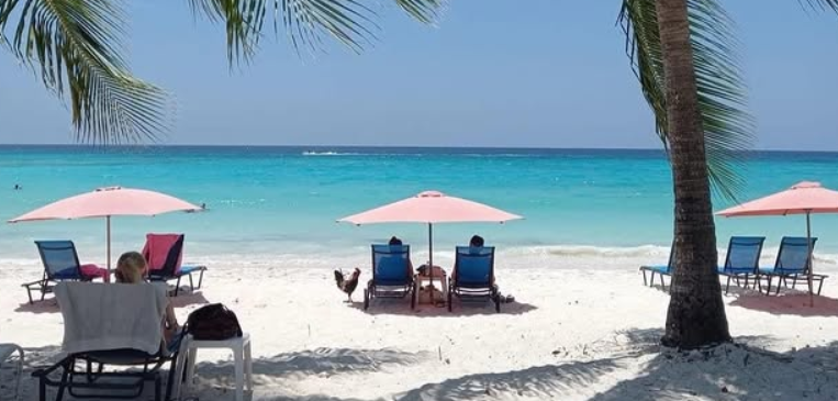 Sun loungers at Dover Beach
