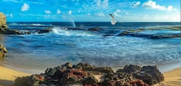 Little Bay in Barbados