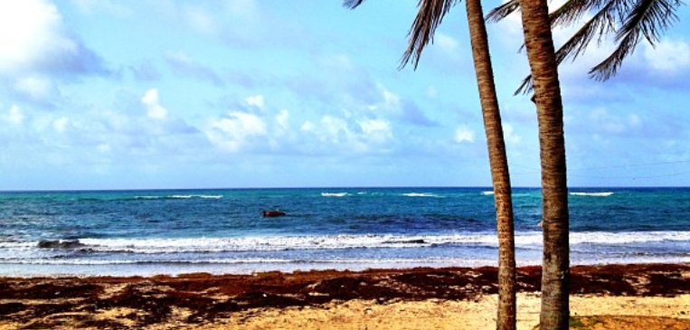 Skeetes Bay in Barbados