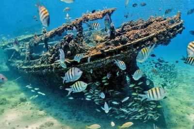 Snorkelling over a shipwreck in Carlisle Bay Barbados