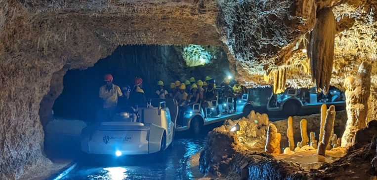Tour Harrisons Cave in Barbados