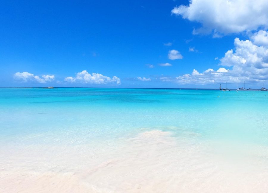 Carlisle Bay