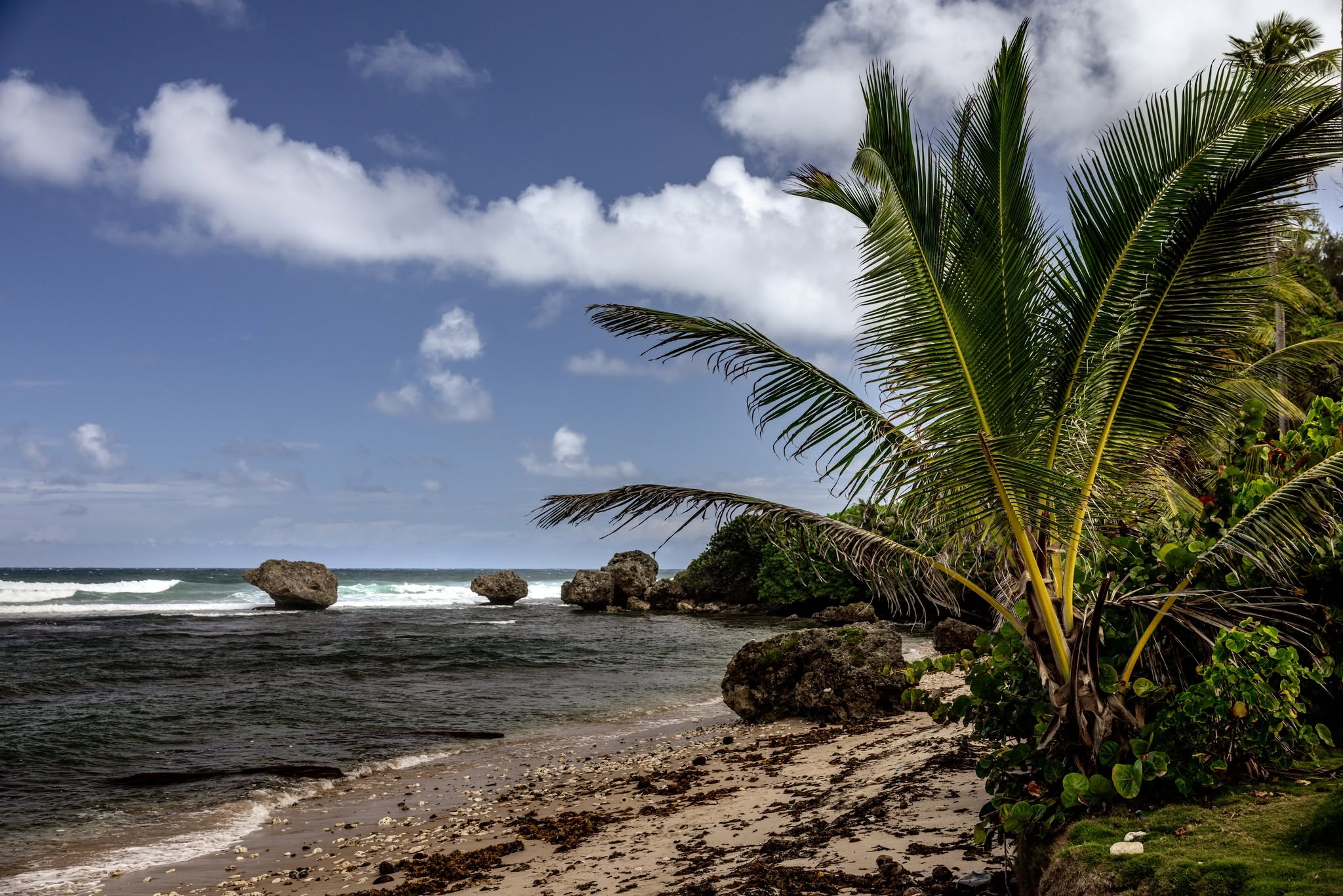 Dramatic beach and Atlantic waves at Bathsheba in Barbados