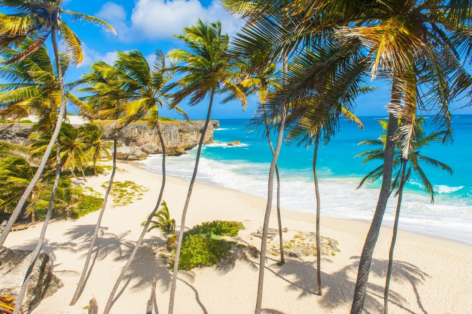 Palm-framed Bottom Bay Beach on the south-east coast of Barbados