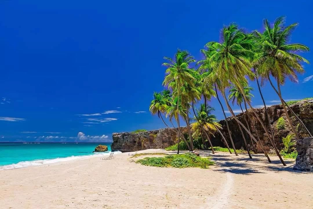 Bottom Bay Beach in Barbados with pale sand, palms and turquoise Atlantic water