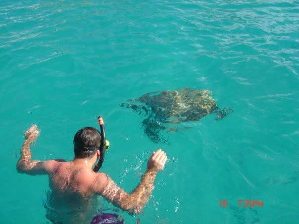 Chris Clayton snorkelling near a sea turtle in Barbados