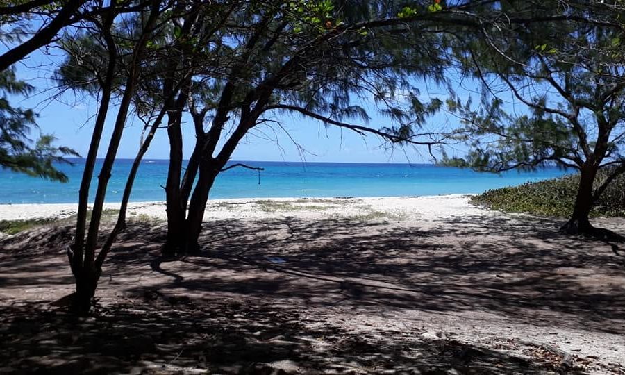 Foul Bay
