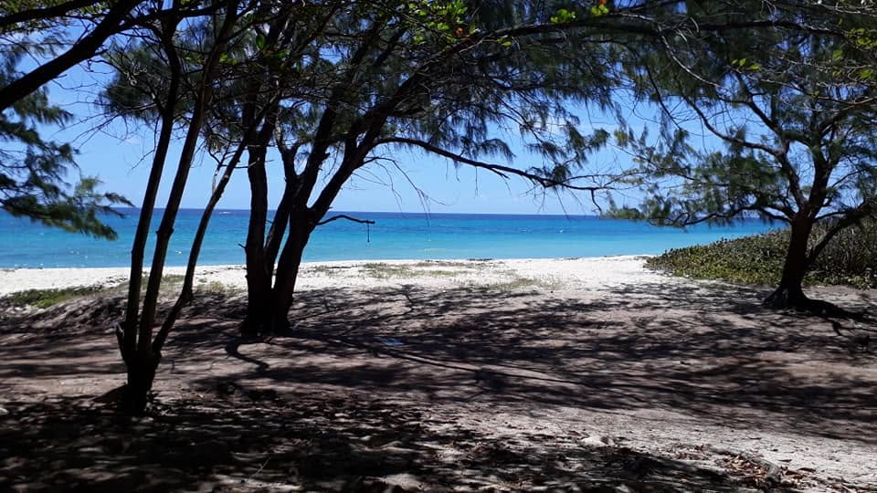 Wide sandy shoreline at Foul Bay in Barbados
