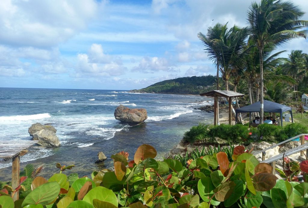 Martins Bay