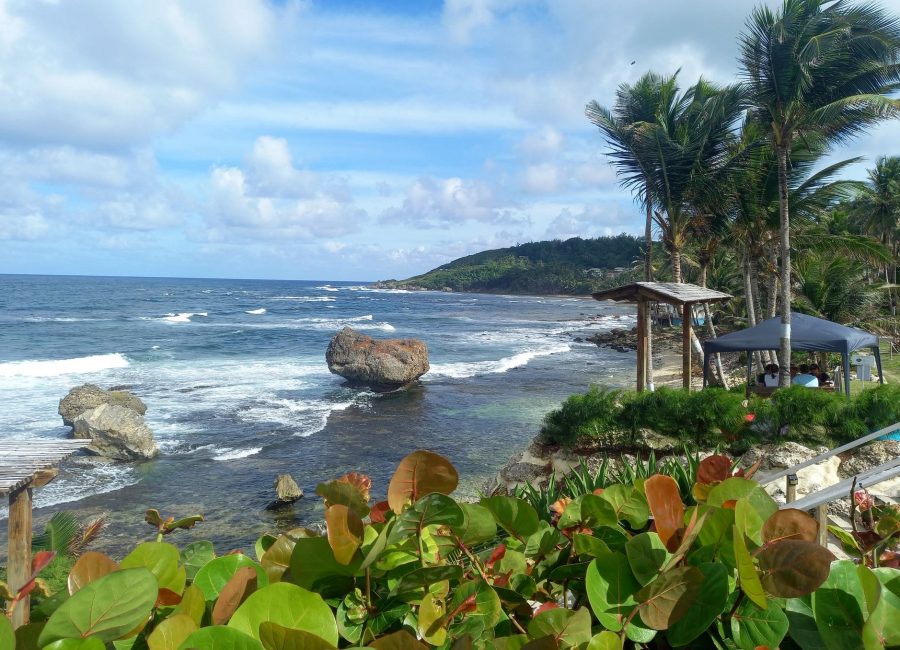 Martins Bay
