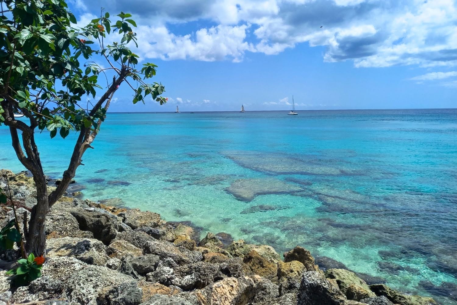 Clear sea and coastal rocks at Paynes Bay in Barbados